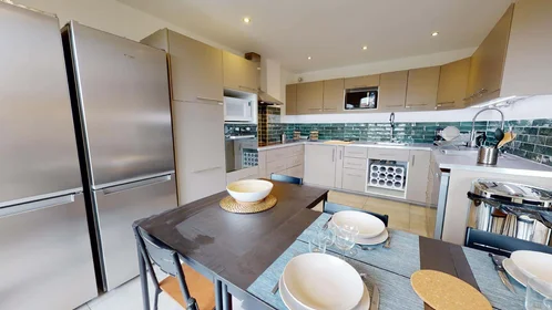 Stanza privata in 90 Rue Greuze, 69100 Villeurbanne, France, immagine 7 di 16