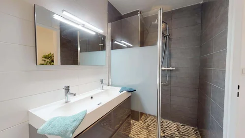 Stanza privata in 90 Rue Greuze, 69100 Villeurbanne, France, immagine 10 di 16