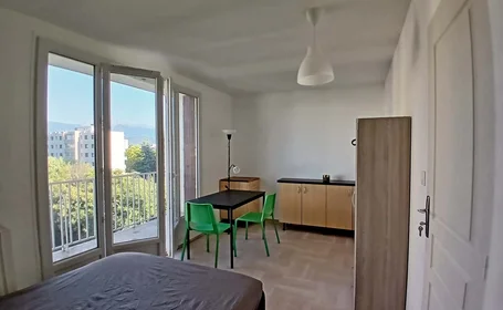 Prywatny pokój 7 Rue Dr Schweitzer, 38100 Grenoble, France, obraz 1 10