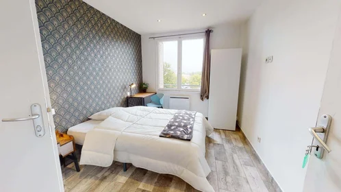 Stanza privata in 90 Rue Greuze, 69100 Villeurbanne, France, immagine 3 di 18