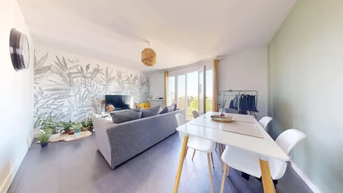Habitación privada en 23 Rue des Ormeaux, 49100 Angers, France, imagen 1 de 10