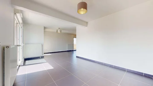 Gesamte Unterkunft in der 5 Rue Louise Michel, 38100 Grenoble, France, bild 2 von 25