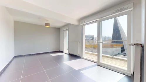 Gesamte Unterkunft in der 5 Rue Louise Michel, 38100 Grenoble, France, bild 3 von 25