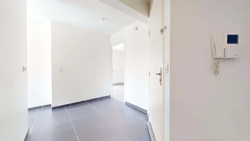 Gesamte Unterkunft in der 5 Rue Louise Michel, 38100 Grenoble, France, bild 21 von 25