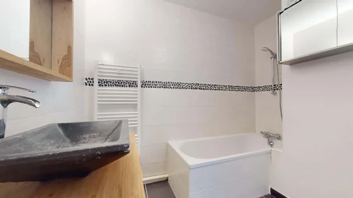 Gesamte Unterkunft in der 5 Rue Louise Michel, 38100 Grenoble, France, bild 23 von 25