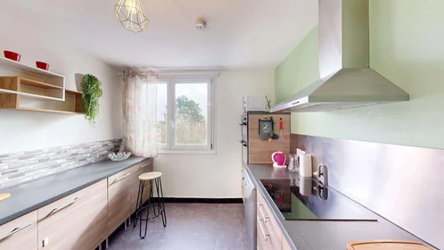 Prywatny pokój 2 Rue de Quizac, 29200 Brest, France, obraz 13 21