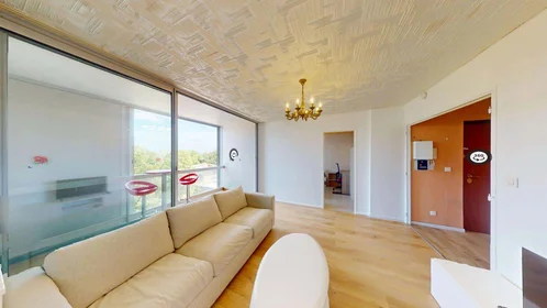 Habitación privada en 3 Rue Georges Bernanos, 31100 Toulouse, France, imagen 1 de 10
