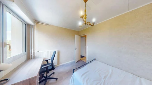 Habitación privada en 3 Rue Georges Bernanos, 31100 Toulouse, France, imagen 3 de 17