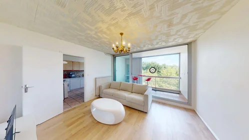 Habitación privada en 3 Rue Georges Bernanos, 31100 Toulouse, France, imagen 7 de 17