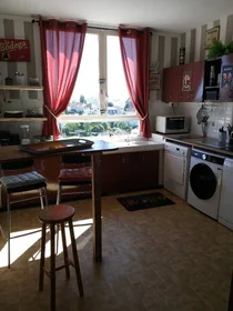 Stanza privata in Limoges, 87000, immagine 2 di 5