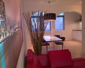 Studio at Jacob Catsstraat, image 5 of 7