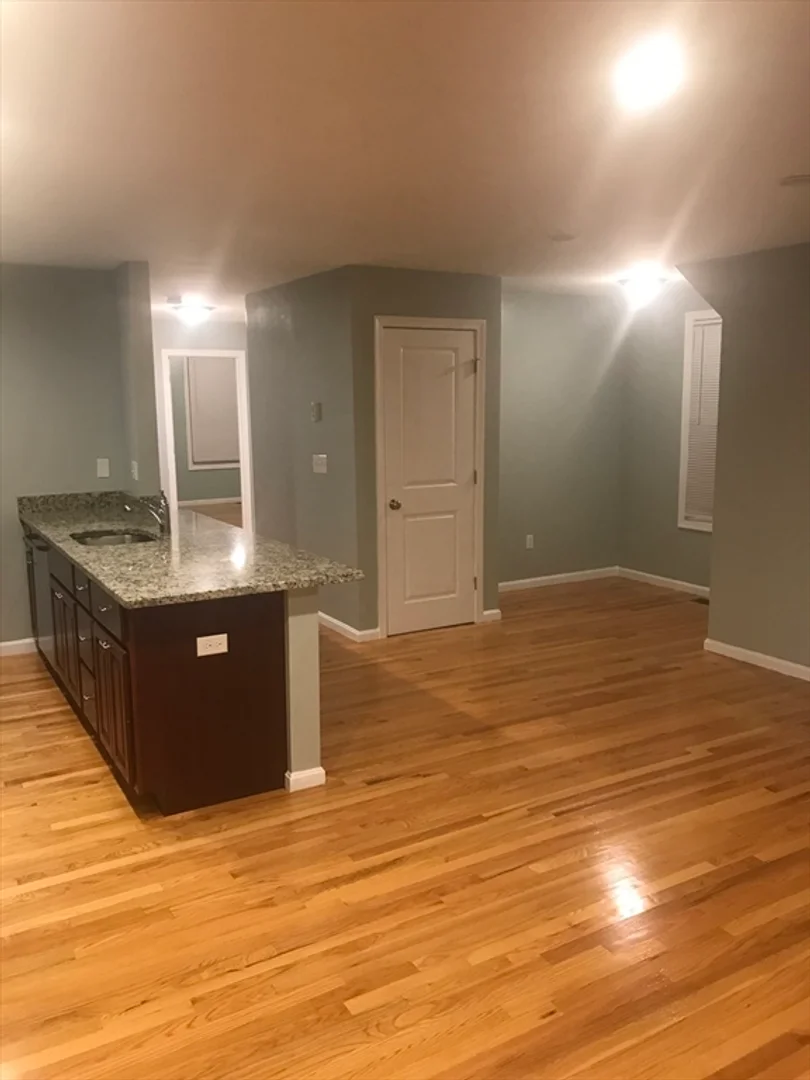 23, Maywood, Unit 1, Roxbury, Boston, MA, 02119
