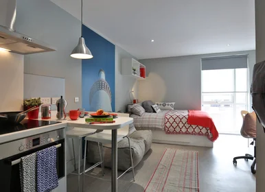 Monolocale in residence in 34 - 36 St Peter’s Street Aberdeen , AB24 3HQ , UK, immagine 7 di 19