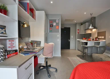 Monolocale in residence in 34 - 36 St Peter’s Street Aberdeen , AB24 3HQ , UK, immagine 8 di 19
