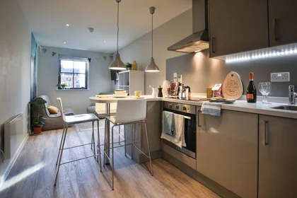 Entire apartment in residence at 1-107 Percy's Ln, York YO1 9TP, United Kingdom                 , image 13 of 24