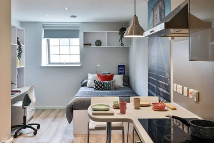 Entire apartment in residence at 37 Lawrence St, York YO10 3FU, United Kingdom          , image 3 of 17