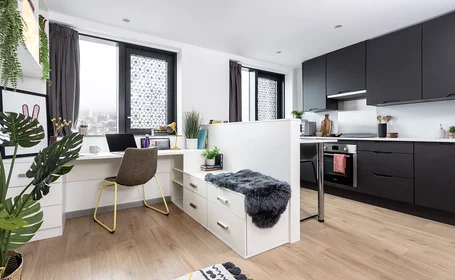 Özel oda Ikamet yerinde konumu 3 New Wakefield St, Manchester M1 5AA, United Kingdom, 23 25 görüntüsü
