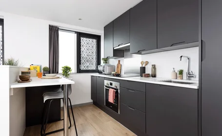 Özel oda Ikamet yerinde konumu 3 New Wakefield St, Manchester M1 5AA, United Kingdom, 24 25 görüntüsü