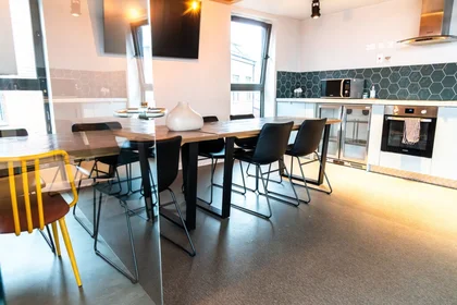 Quarto privado em residência em Garden St, Sheffield City Centre, Sheffield, UK             , imagem 10 de 20