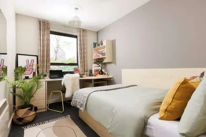 Quarto privado em residência em 109 Clough Rd, Highfield, Sheffield S2 4TB, United Kingdom         , imagem 11 de 21