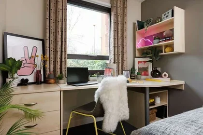 Quarto privado em residência em 109 Clough Rd, Highfield, Sheffield S2 4TB, United Kingdom         , imagem 9 de 21