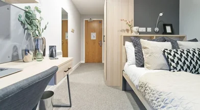 Quarto privado em residência em 52 West St, Sheffield City Centre, Sheffield S1 4FD, United Kingdom                      , imagem 20 de 28