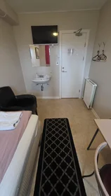 Stanza privata in Gunnarsbraut, Reykjavik, immagine 9 di 10