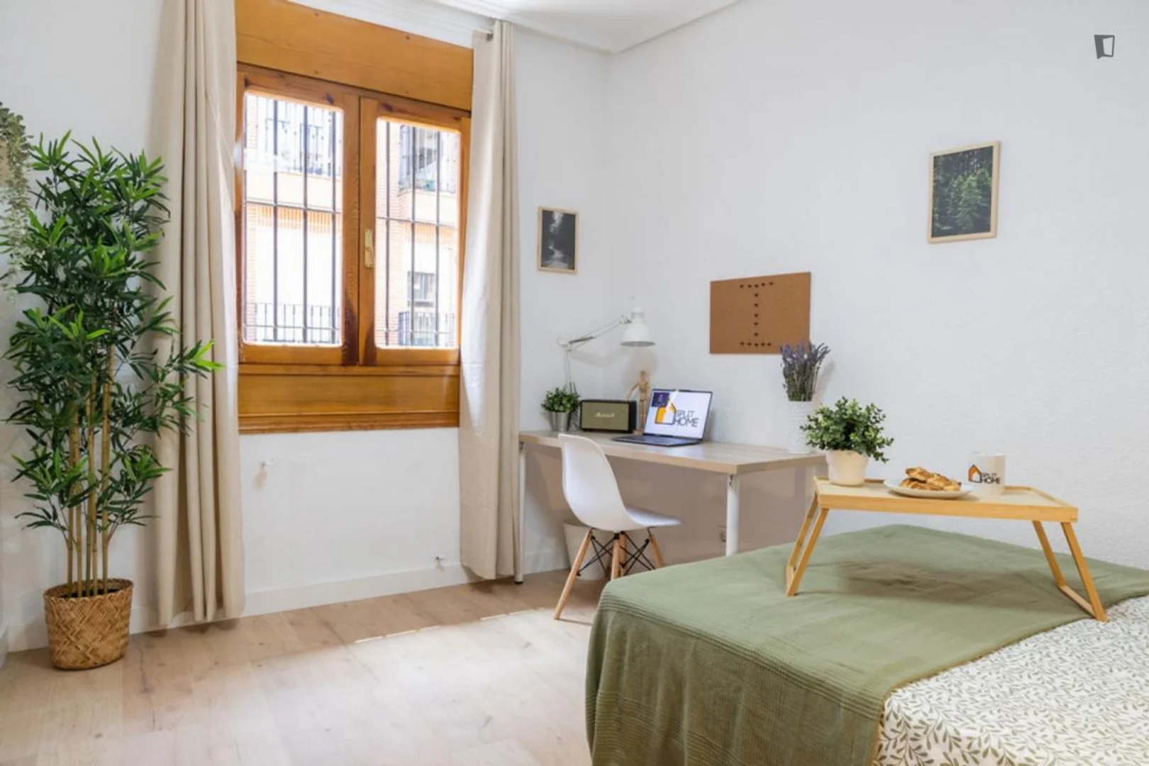 Quarto acolhedor para estudantes disponível em 