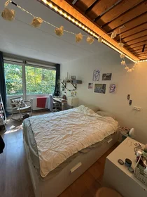 私人房间 在 Witbreuksweg, 10的图像9