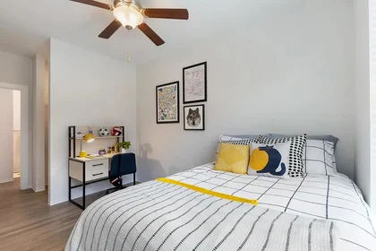 Habitación privada en Hillsborough Street, imagen 1 de 21
