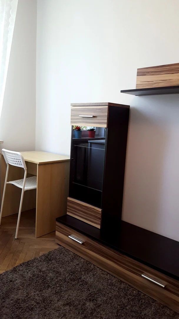 Student-friendly room in with modern amenities