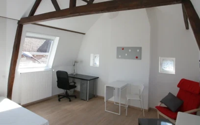 Private room at Rue Jean Francois Desrousseaux, image 9 of 11