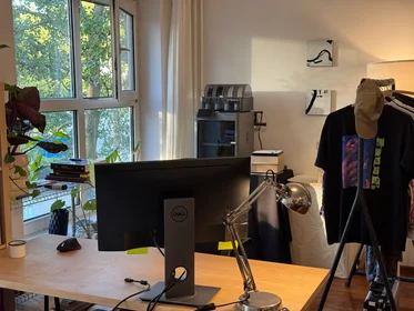 Estudio en Korvezeestraat, imagen 3 de 9