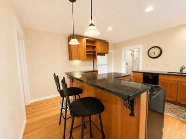 Logement entier en résidence à 135-139, Pearl St., Unit 4, Cambridgeport, Cambridge, MA, 02139, image 10 de 18