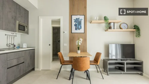 Entire apartment at Via Ambrogio Binda, image 6 of 19