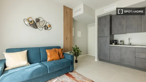 Entire apartment at Via Ambrogio Binda, image 7 of 19