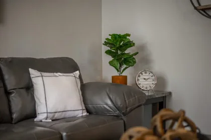 Habitación privada en West Van Buren Street, imagen 24 de 35