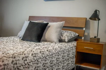 Habitación privada en West Van Buren Street, imagen 8 de 35