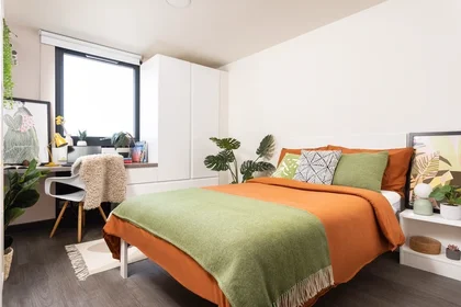 Chambre privée à 130 Scotland St, Sheffield S3 7DD, United Kingdom, image 1 de 10