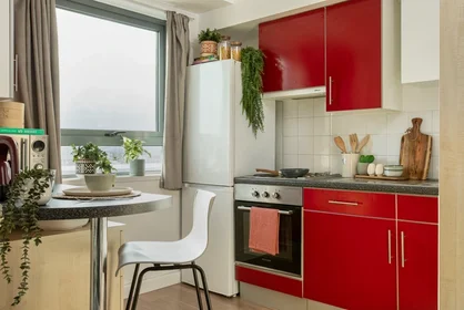 Privatzimmer im Wohnheim in der  10 Witan Street, Bethnal Green, London, England, E2 6FG, bild 21 von 21