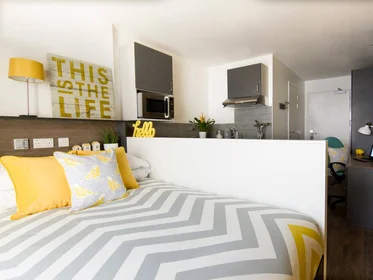 Entire apartment in residence at 39 Cobourg St, Plymouth PL1 1SP, United Kingdom , image 9 of 11
