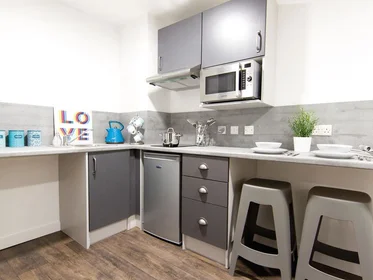 Entire apartment in residence at 39 Cobourg St, Plymouth PL1 1SP, United Kingdom , image 10 of 11