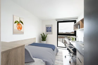 Private room in residence at 47 Kyle St, Glasgow G4 0JQ, United Kingdom, image 2 of 19