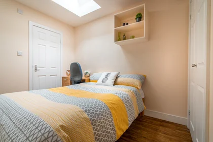 Private room at Beverley Road Hull Hull HU5 1LA, image 6 of 12