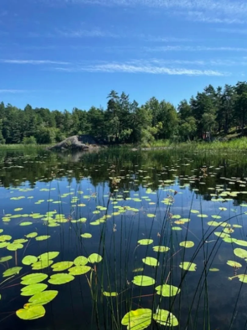 Gömmarvägen 34