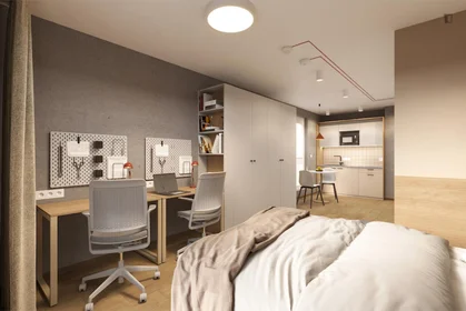 Privatzimmer im Wohnheim in der Wołoska, bild 29 von 29