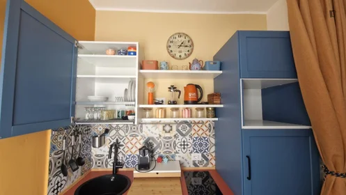 Entire apartment at Via Francesco Costantino Marmocchi, image 22 of 49