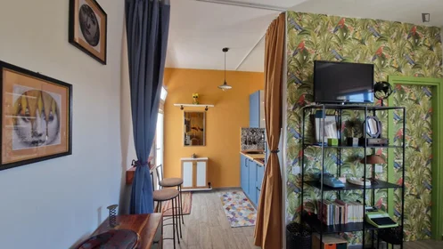 Entire apartment at Via Francesco Costantino Marmocchi, image 28 of 49