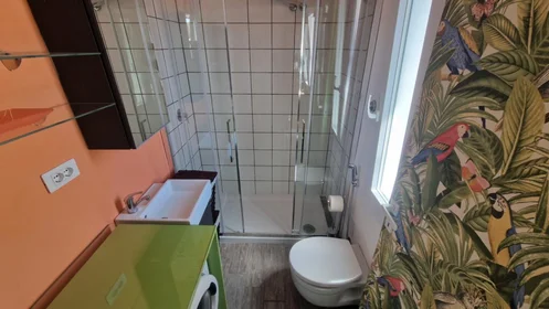 Entire apartment at Via Francesco Costantino Marmocchi, image 35 of 49