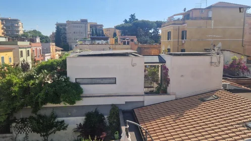 Entire apartment at Via Francesco Costantino Marmocchi, image 40 of 49